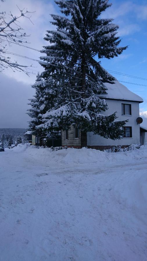 Apartamento Haus Hasenmüller Schmiedefeld am Rennsteig Exterior foto